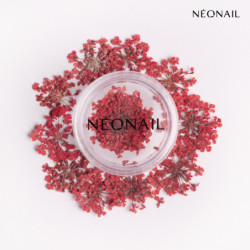 Decorazione Floreale per Unghie 08 Red